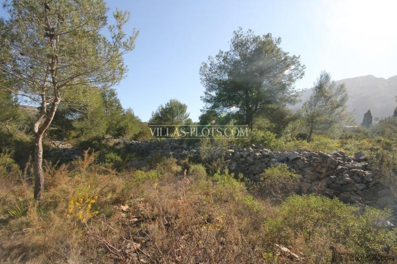Plot In Denia