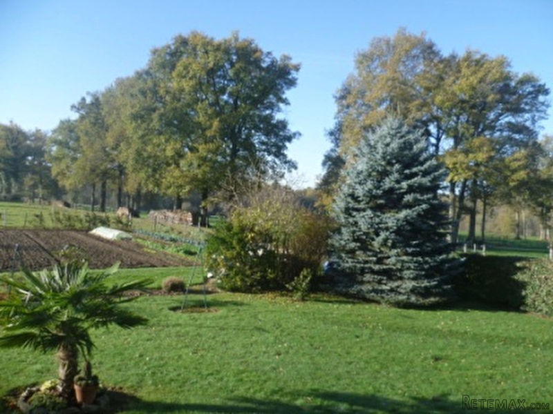 Pristine 3 Bedroom House With Large.. - 2