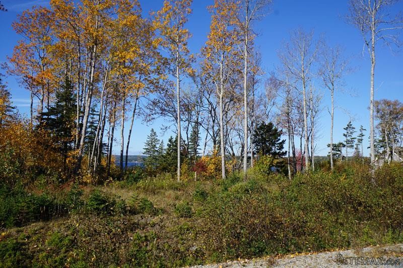 Land For Sale: Lot 5 Endeavour Avenue.. - 2