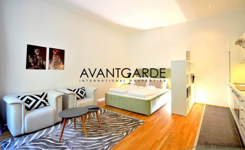 Stylish apartment in the 9th district