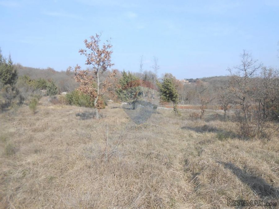 Istra, okolica Rovinja, Sošići, poljoprivredna parcela