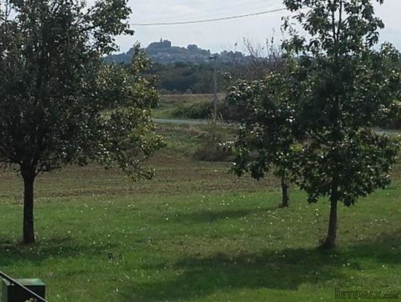Maison Segalas - 2