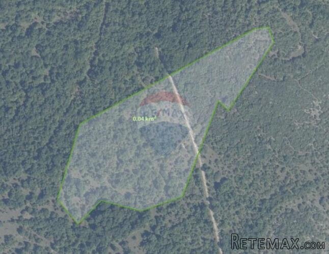 Istra, Bale šuma 19000m2