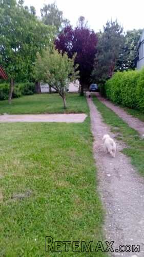 Avala, blizu megamarketa Koka Mar, 200 m2 - 2