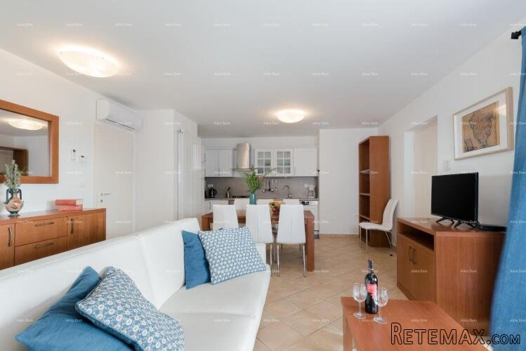 VILA S DVA APARTMANA I BAZENOM, OKOLICA LABINA - 4