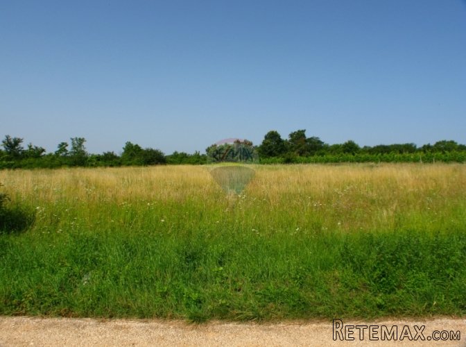 ISTRA, OKOLICA MUNTRILJA, GRAĐEVINSKO ZEMLJIŠTE 2760 M2 - 2