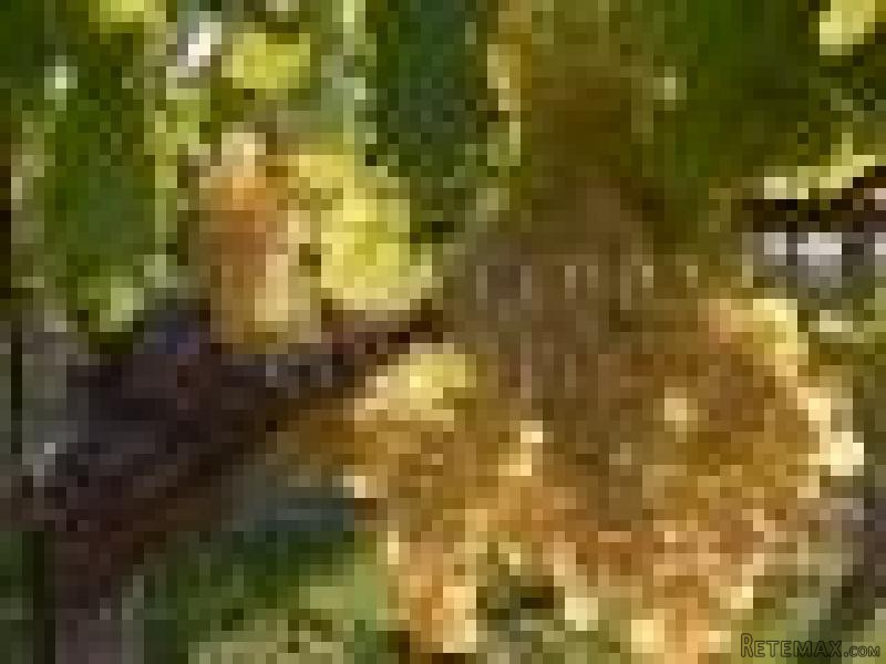 Land For Sale In Vineyard..