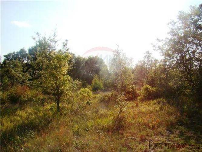 ISTRA, KANFANAR, Građevinska parcela uz asfalt - 3