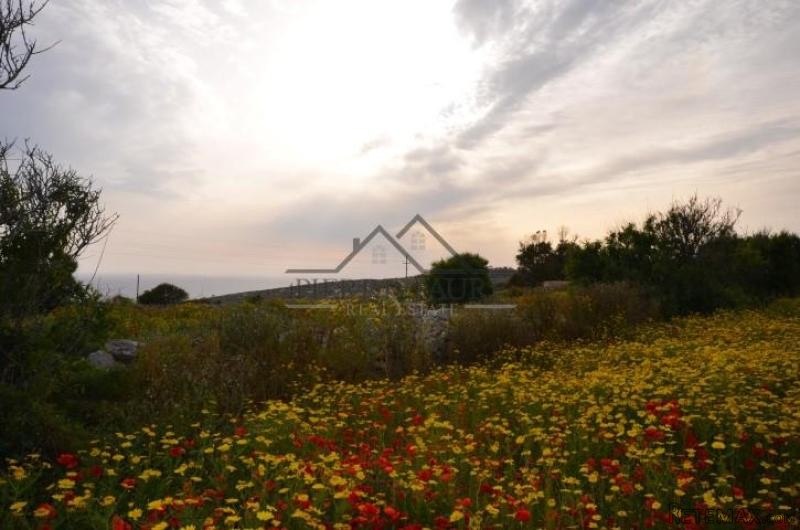 Plot Of Land - Qrendi - 2