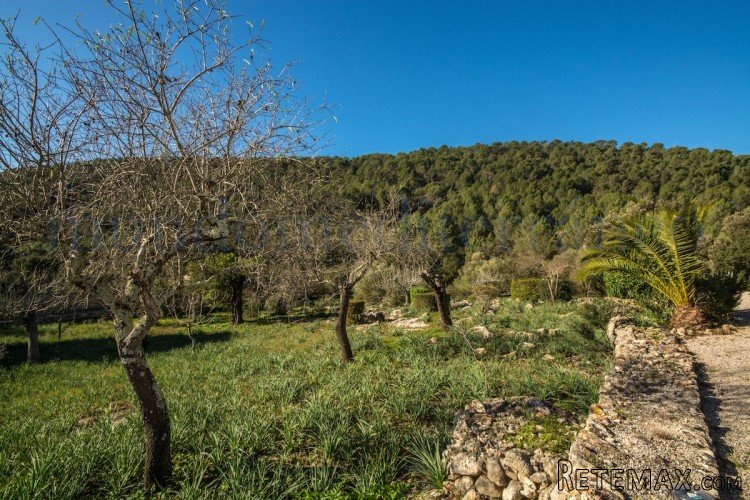 Lovely, small and pretty traditional rustic stone cottage.. - 4