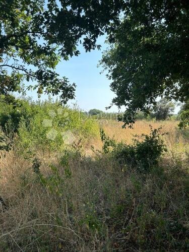 Građevinsko zemljište u Ližnjanu: 1475 m² na samo 700 metara