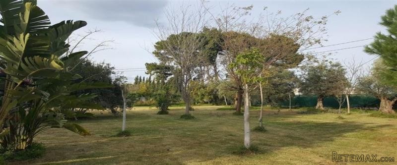 4 Bedrooms - Villa - Alicante - For Sale - 2