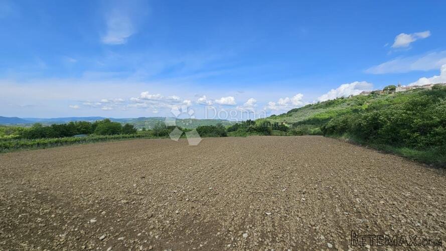 Draguć, veliko poljoprivredno zemljište, 11.030 m2 - 2
