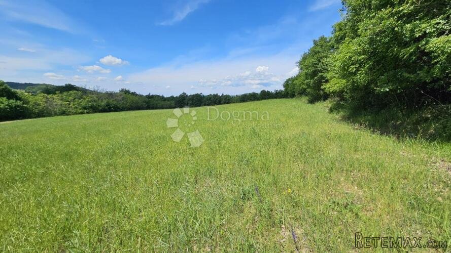 Draguć, veliko poljoprivredno zemljište, 11.030 m2 - 3