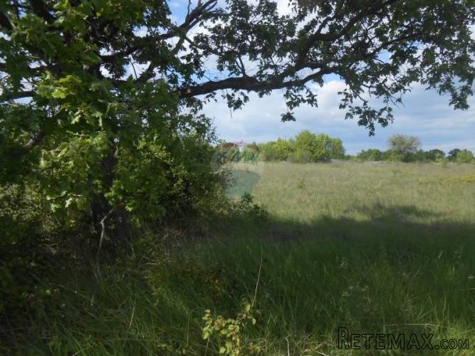 Istra, Vodnjan, Čabrunići, poljoprivredno zemljište - 2