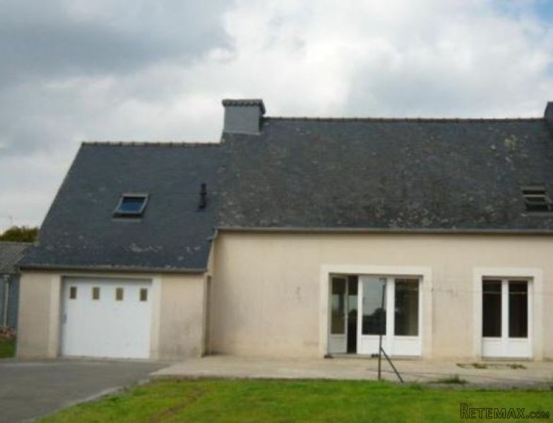 Modern House and Garden