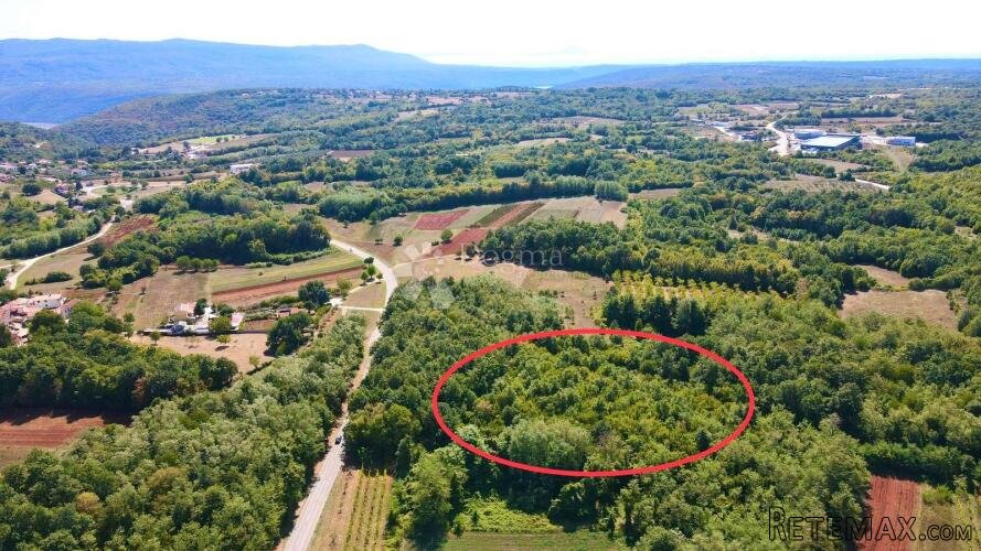 PROSTRANA ŠUMA POVRŠINE 11669m2, BLIZINA NASELJA!!