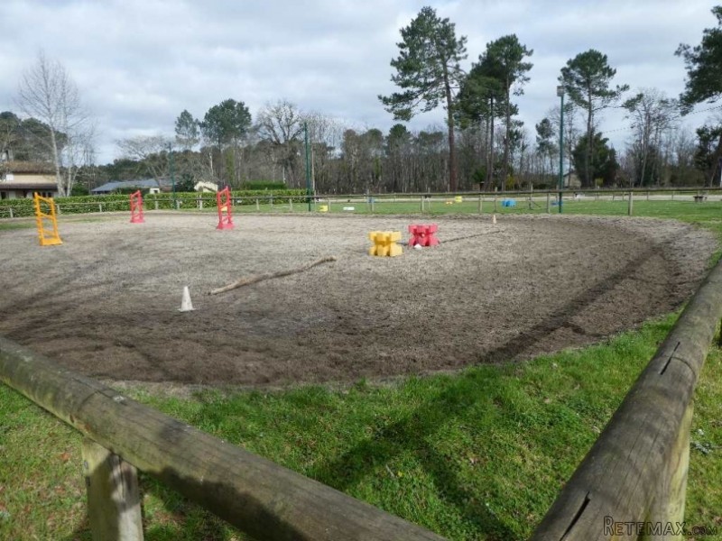 Equestrian Centre For Sale - 2