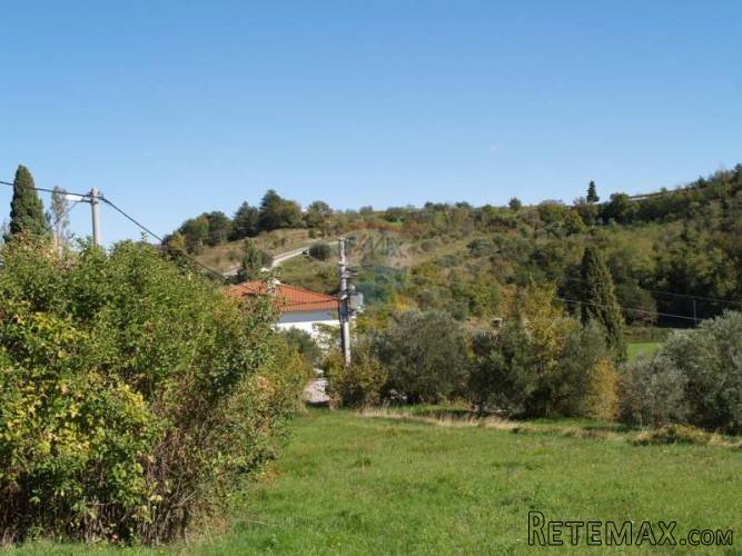 GRAĐEVNA PARCELA U MOMJANU - 4