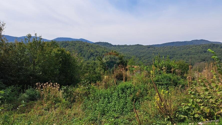 Matulji,Brdce,šumsko zemljište - 3