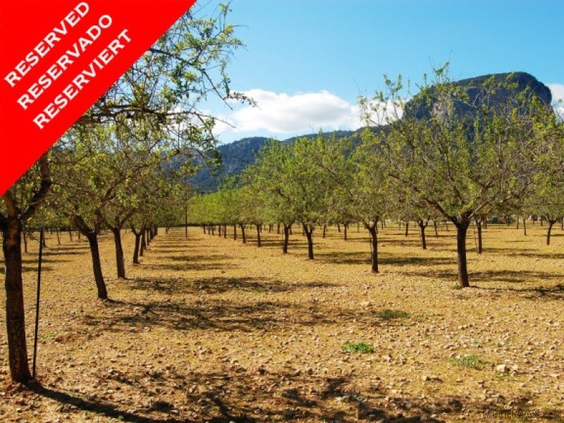 *reserved* Building Plot In The..