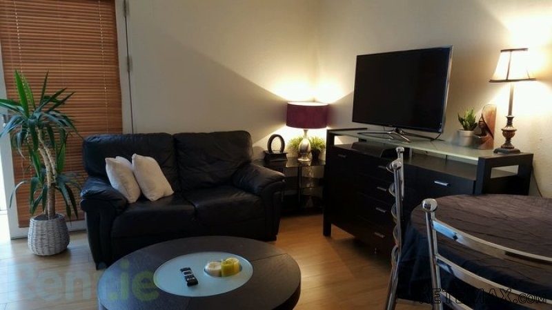 23/24 Temple Lane South, Temple Bar.. - 2
