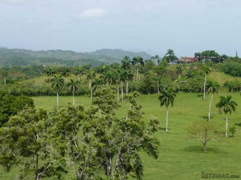 Lot In Jamao Del Norte For Sale - 2