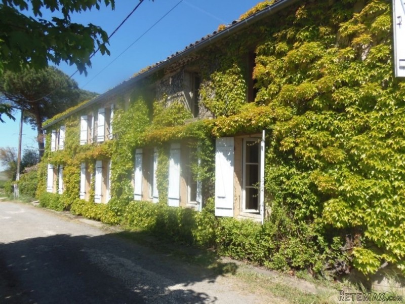 Ivy Covered Detached Country House