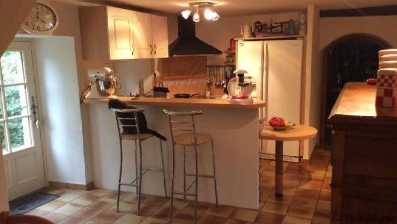 Nice Rural Longere Farmhouse - 2