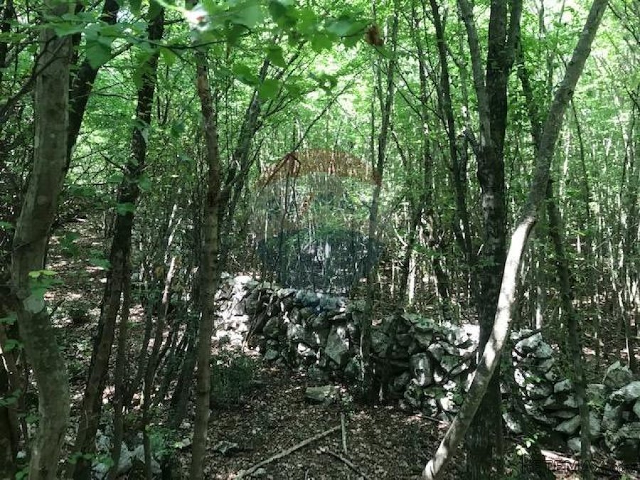 Otok Krk, Kras, poljoprivredno zemljište 2349 m2 - 2
