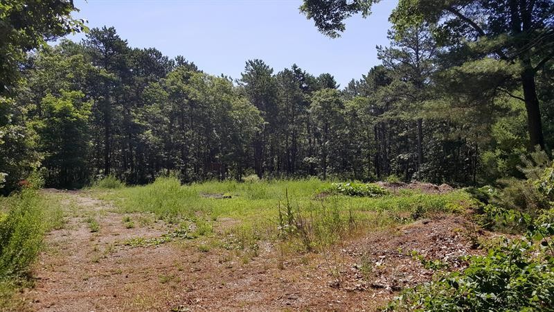 Land For Sale: 147 Peppercorn Lane..