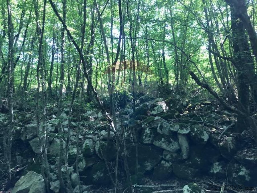 Otok Krk, Kras, poljoprivredno zemljište 2349 m2 - 3