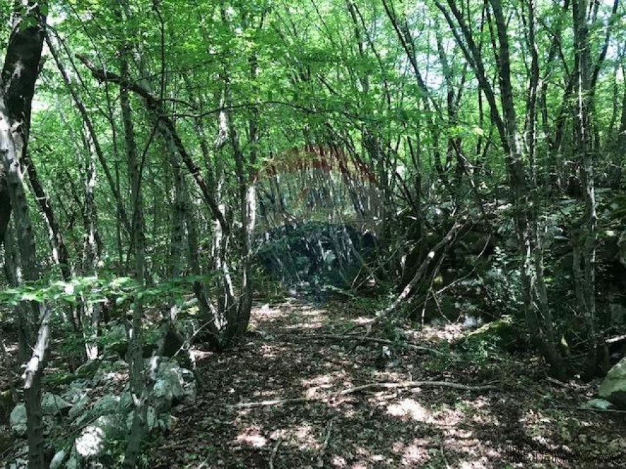Otok Krk, Kras, poljoprivredno zemljište 2349 m2 - 4