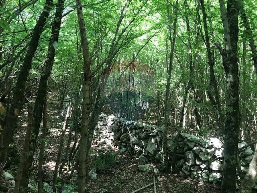 Otok Krk, Kras, poljoprivredno zemljište 2349 m2 - 6