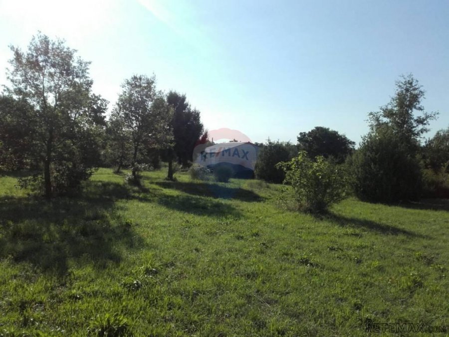 ROVINJ, POLJOPRIVREDNA PARCELA 6234 M2