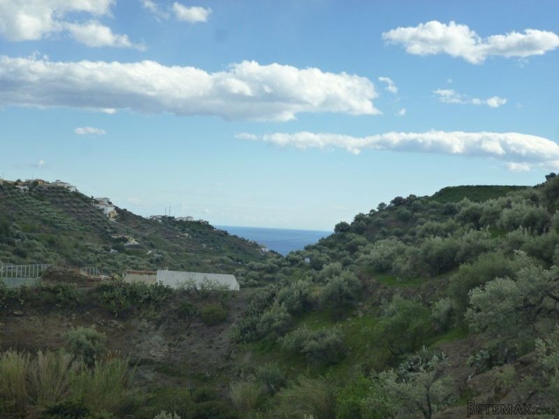 1 Bedroom - Country House - Malaga -.. - 2