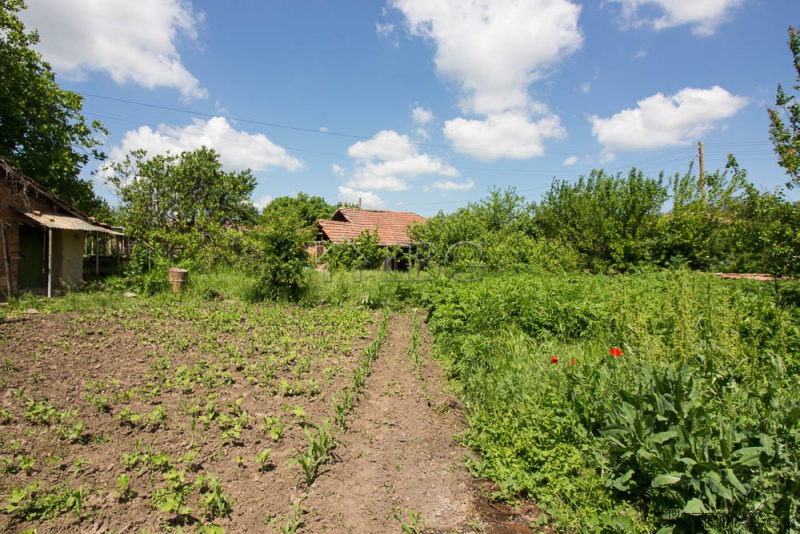 House with big plot of land for sale.. - 2