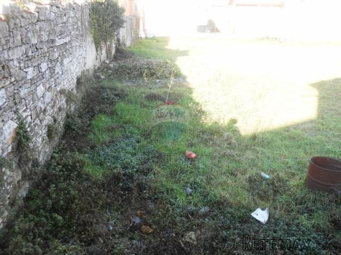 Istra, Vodnjan, građevinsko zemljište sa maslinikom - 2