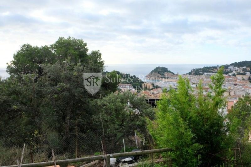 Fantastic Plot In The Village Of Tossa..