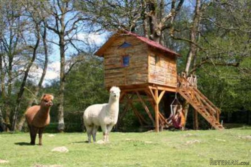 House with 4 Yurts on 11 Hectares - 2
