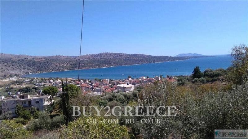 B666 - TO SALE - 2