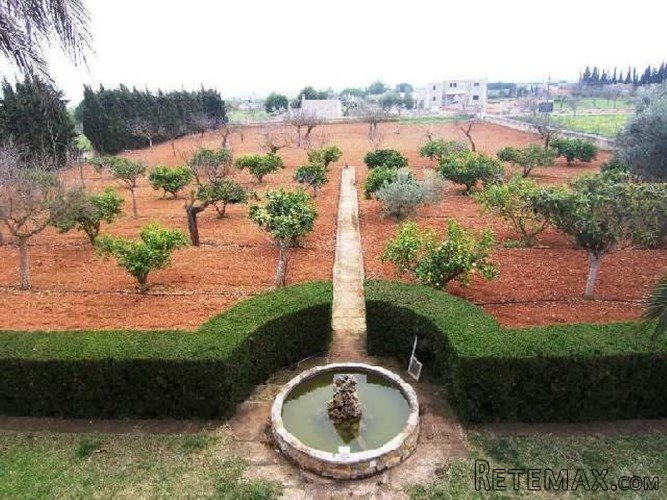 Impressive country house in the best part of Binissalem... - 3
