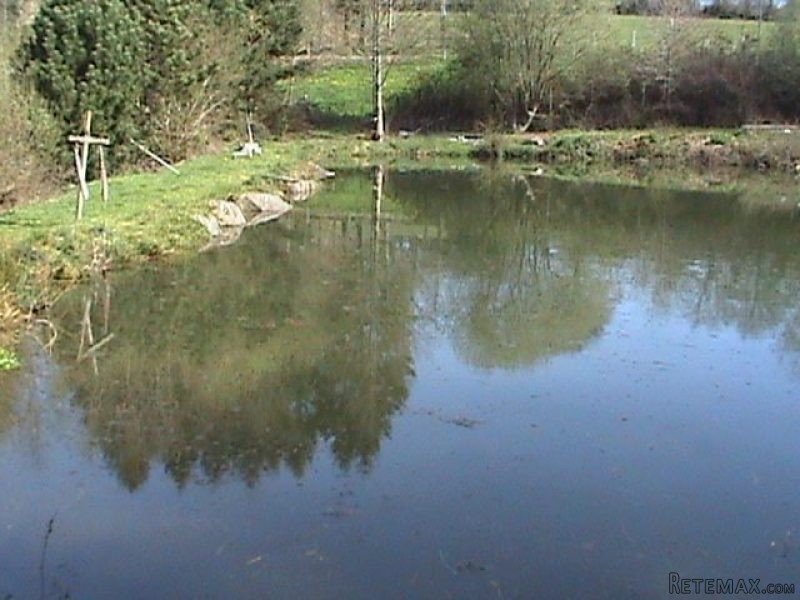 Property - Basse-Normandie - For Sale - 2