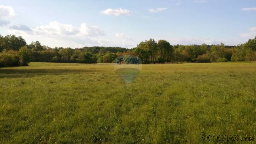 Istra, Barban, poljoprivredno zemljište - 2