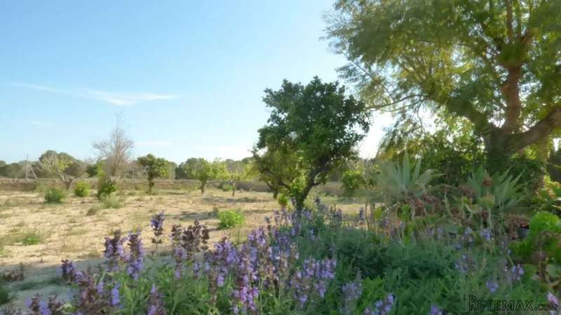 Country House For Sale In Perleta, Elche - 2