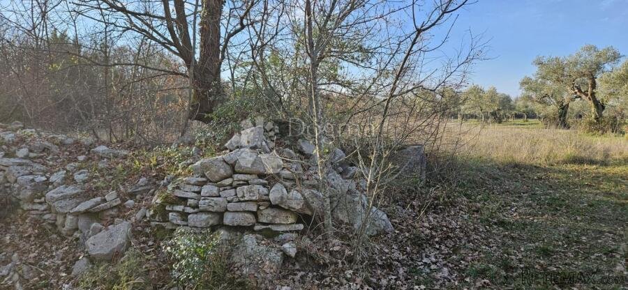 Poljoprivredno zemljište na odličnoj lokaciji - 4154 m²