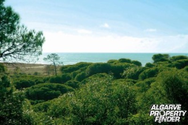 For Sale: Plot In Vale Do Lobo Algarve..