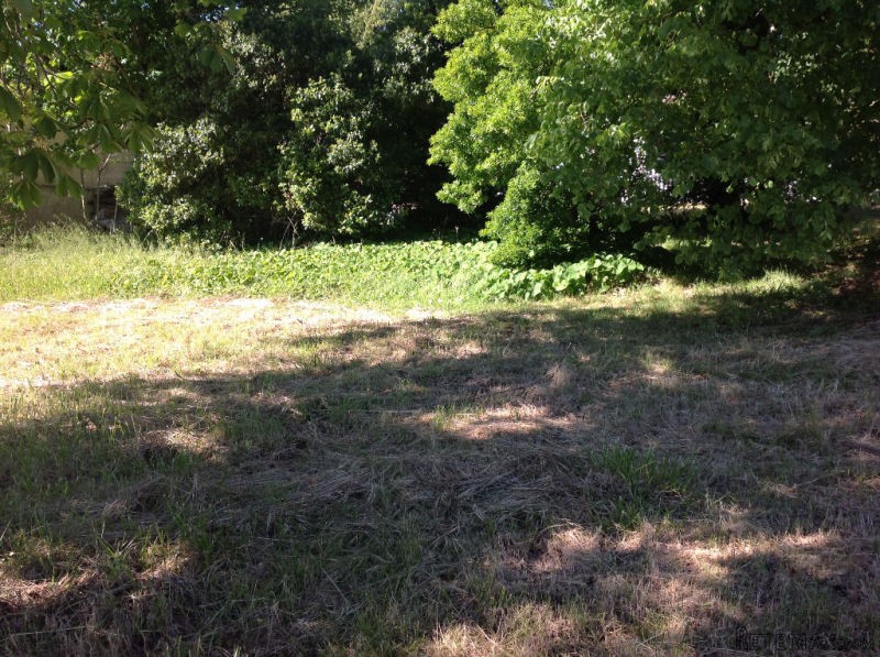 Plot of land close to the ocean