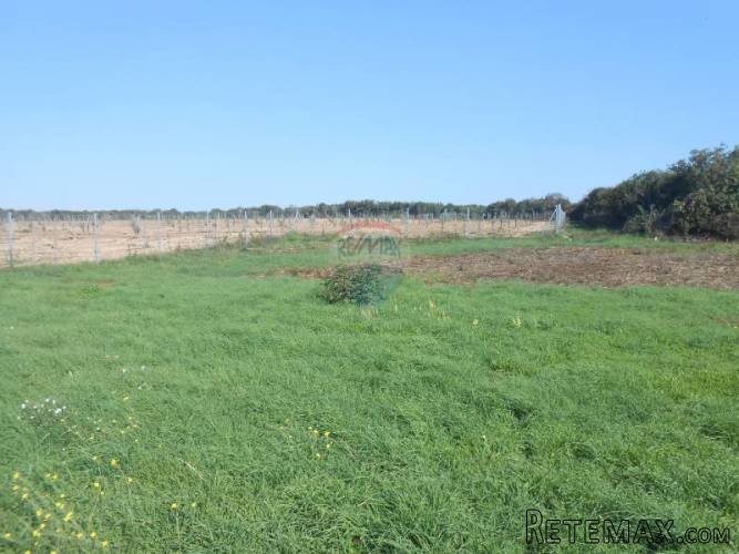 Istra, Pula, građevinsko zemljište na dobroj lokaciji u... - 2