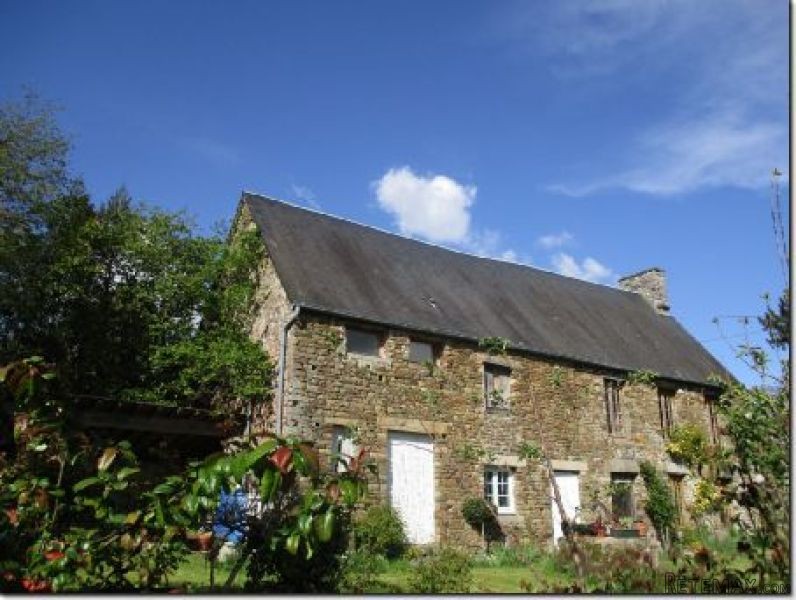 Two Country Houses in Lovely Setting